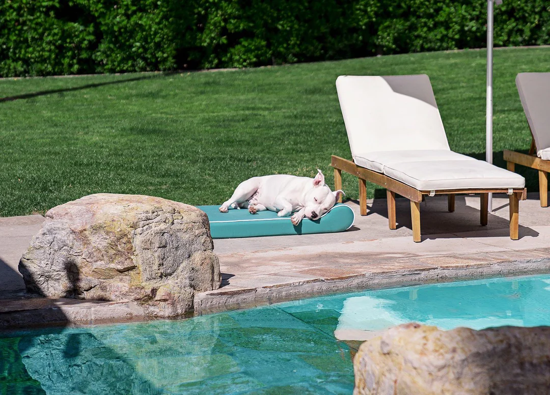 Project Paws - outdoor photo of the brand's beds, by the pool, sunny, summer.
